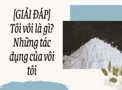 [GIẢI ĐÁP] Tôi vôi là gì? Những tác dụng của vôi tôi