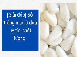 [Giải đáp] Sỏi trắng mua ở đâu uy tín, chất lượng