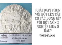 [Giải đáp] Phun vôi bột lên cây có tác dụng gì? Vôi bột nông nghiệp mua ở đâu?