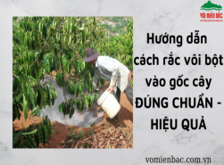 Hướng dẫn cách rắc vôi bột vào gốc cây ĐÚNG CHUẨN - HIỆU QUẢ