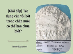 [Giải đáp] Tác dụng của vôi bột trong chăn nuôi là gì?