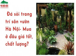 Đá sỏi trang trí sân vườn Hà Nội: Mua ở đâu giá tốt, chất lượng?