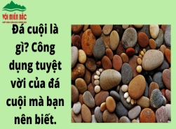 Đá cuội là gì? Công dụng tuyệt vời của đá cuội mà bạn nên biết