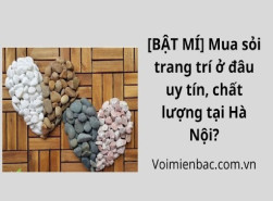 [BẬT MÍ] Mua sỏi trang trí ở đâu uy tín, chất lượng tại Hà Nội?