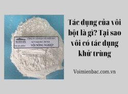 Tác dụng của vôi bột là gì? Tại sao vôi có tác dụng khử trùng