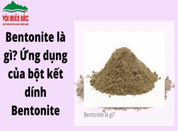 Bentonite là gì? Ứng dụng của bột kết dính Bentonite