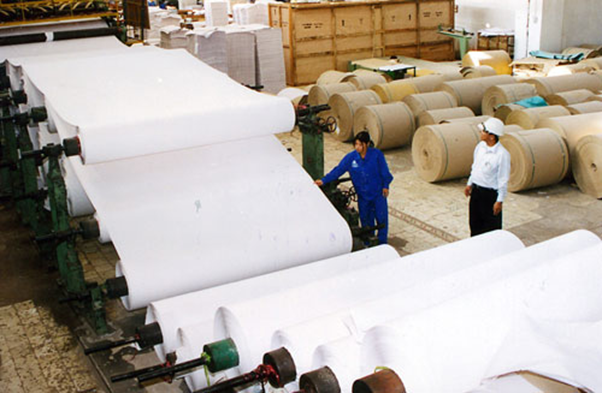 ngành sản xuất giấy